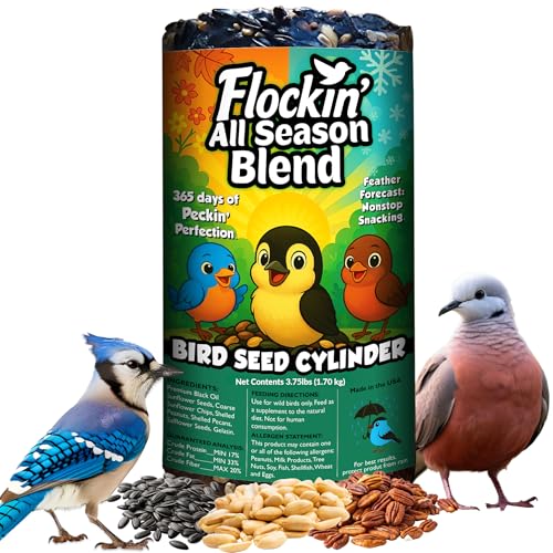 All Year Round Bird Seed Cylinders with Hole – All Season Wild Bird Food for Blue Jays, Cardinals, Doves, Finches & More – Balanced High Energy All Natural Blend, No Fillers – USA Made (6' x 7.75')