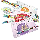 Carolina Flow Of Genetic Information Kit – 3D Dna & Rna Learning Models | Hands-On Molecular Biology For Classrooms | Demonstrates Replication, Transcription & Translation