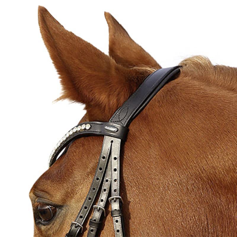 Euroriding William Hunter Equestrian La Rochelle Hannov - Brida para caballo
