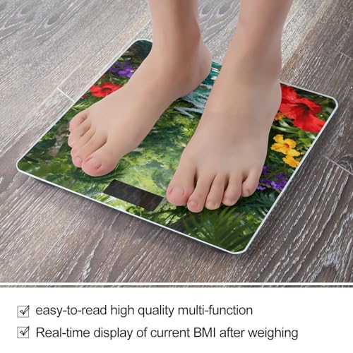 Báscula digital de baño Tropical Wave con pantalla LCD miniatura 5