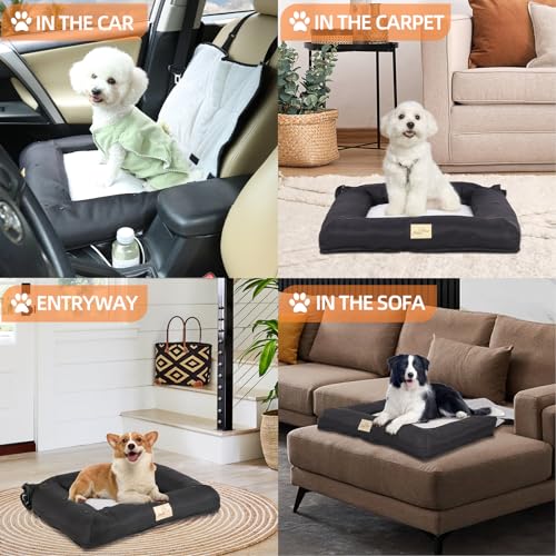 BingoPaw Hunde Autositz für mittlere Hunde, Hundesitz Auto Beifahrersitz, Verstärkter Autositz mit Befestigungsgurten, wasserdicht rutschfest Hundeautositz für Rückbank Vordersitz, M 66x55x49 cm