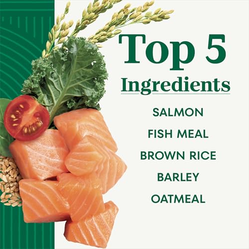 Image of Nutro Natural Choice Dry Dog Food, Salmon & Brown Rice Recipe, 28 lb