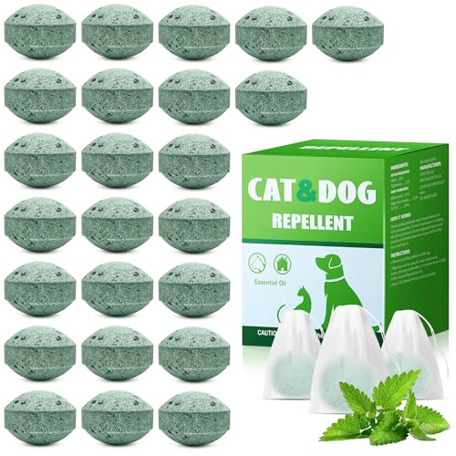 Picture of Outdoor Cat Repellent – The 15 best products compared - Wild Explained