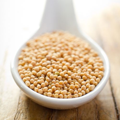 Miniatura 4 de mostaza amarilla, entero  Spiceology Semillas de mostaza amarilla  24 onzas