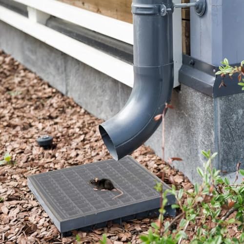 6 PCS Stainless Steel Wire Mesh Sheets, 20 Mesh A5 Rodent Mesh, Rodent Control Metal Insect Woven Fine Mesh Panels, Proofing Meshes for Air Brick Vent Mesh Cover, Home, Kitchen, Garden (15x21cm) - Image 5