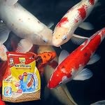 TetraPond Koi Vibrance Soft Sticks, Floating Pond Fish Food for Koi Fish and Ornamental Goldfish, 2.42 Pounds - Image 3