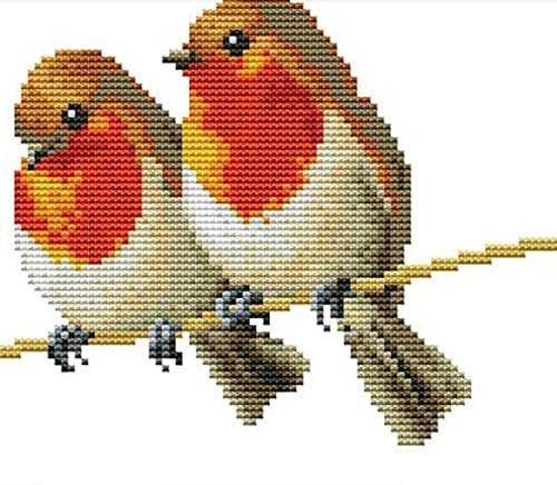 Peinture au diamant 5D oiseau en ligne : le cadeau d'anniversaire personnalisable parfait