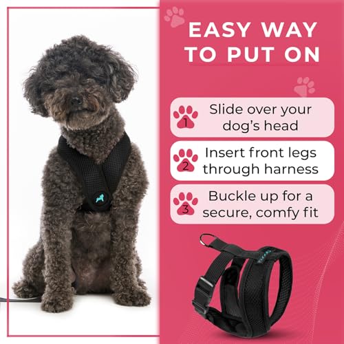 Gooby Comfort X Hundegeschirr zum Ziehen über den Kopf, komfortabel, kein Ziehen, für kleine bis mittelgroße Hunde, Würgeschutz, X-Design, für unterwegs, für Innen- und Außenbereich, Größe M, Schwarz