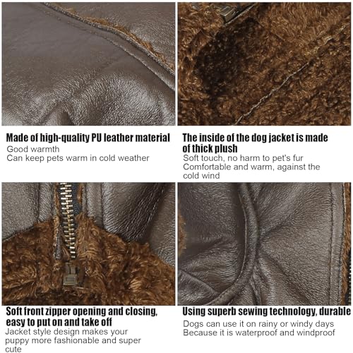 Hunde-Winter-Ledermantel, Hunde-Lederjacke, Warm für den Winter, für Draußen, für Kleine, Mittelgroße Hunde, für Katzen (S)