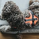 Hunter Hundegeschirr Maldon UP, Farbe: Altrosa/grau, weich gepolstert & komfortabel, stark reflektierend durch 3M Scotchlite, 4-Fach verstellbar, mit gepolstertem Griff (ab S-M), Größe: XS-S