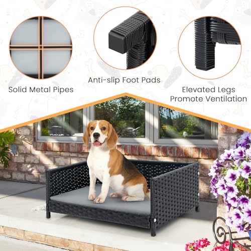 PETSITE Wicker Dog Bed, Rattan Pet Bed with Metal Frame, Soft Waterproof Removable Cushion, Elevated Indoor Outdoor Dog Couch Sofa for Small Medium Sized Dogs, 24.5 x 18 x 10 inch - Image 6