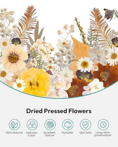 Image of Dried Flowers, Resiners 100Pcs Pressed Flowers for Craft Real Natural Dried Flowers Dry Leaves Kit for DIY Making Crafts Resin Soap Candle Scrapbook Supplies Jewelry Making