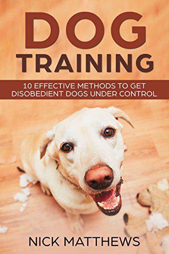 disobedient dog training