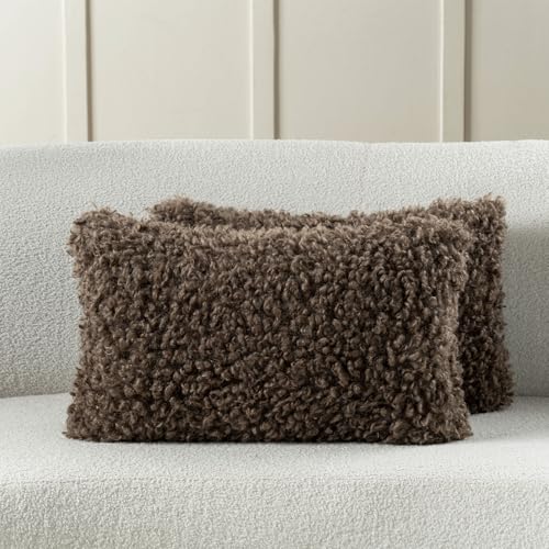 FUTEI Chocolate Decorative Throw Pillow Covers 12x20 Inch Set of 2,Soft Fluffy Faux Wool Fur Boucle Textured Lumbar Pillow Case,Modern Home Decor for Couch Bed Living Room Office