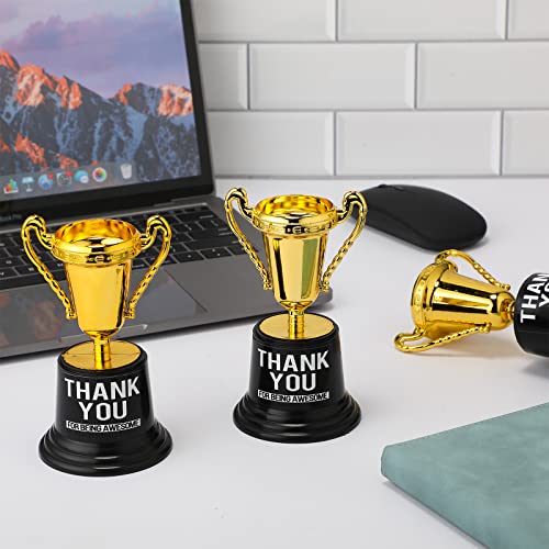 Fumete 30 Pcs Plastic Gold Trophy Award Thank You For Being Awesome Star Thumbs Up Award Trophies Bulk Golden Trophies For Halloween Party Kids Children Employee Teacher (Trophy Style) #TOP3
