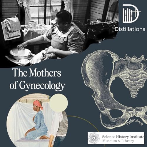 The Mothers of Gynecology Podcast Por arte de portada