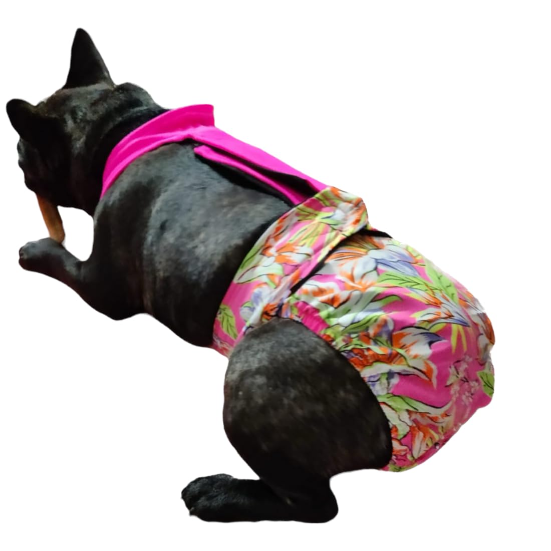 Kitty & The Woof Gang Pink (Printed) Handmade Washable/Reusable Dog Sanitary Diaper - Full Heat Pants for Female Dogs During Their Period of Heat & Male Dogs with Health Issues (XS) (B0CC5DXGYS) Amazon Price History, Amazon Price Tracker