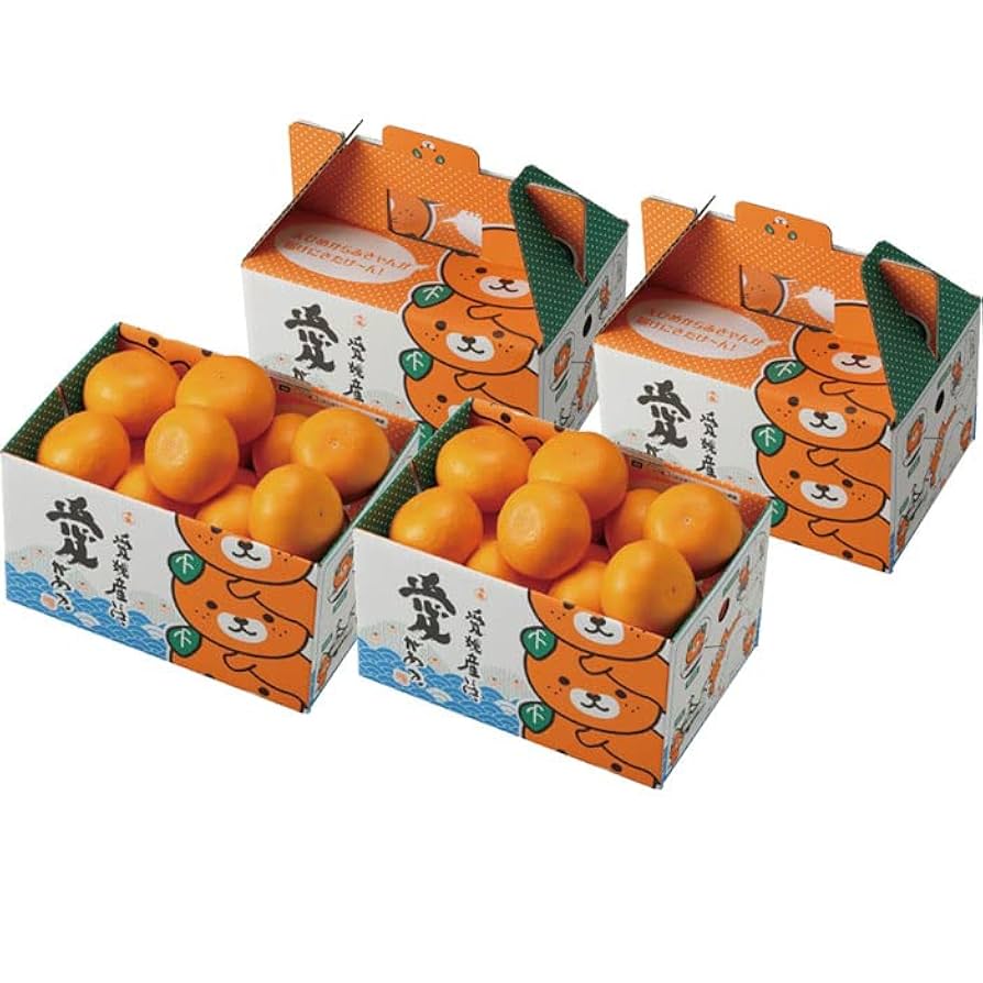 Amazon.co.jp: みかん せとか 2.5kg×2箱 〇等級 2L～Mサイズ み