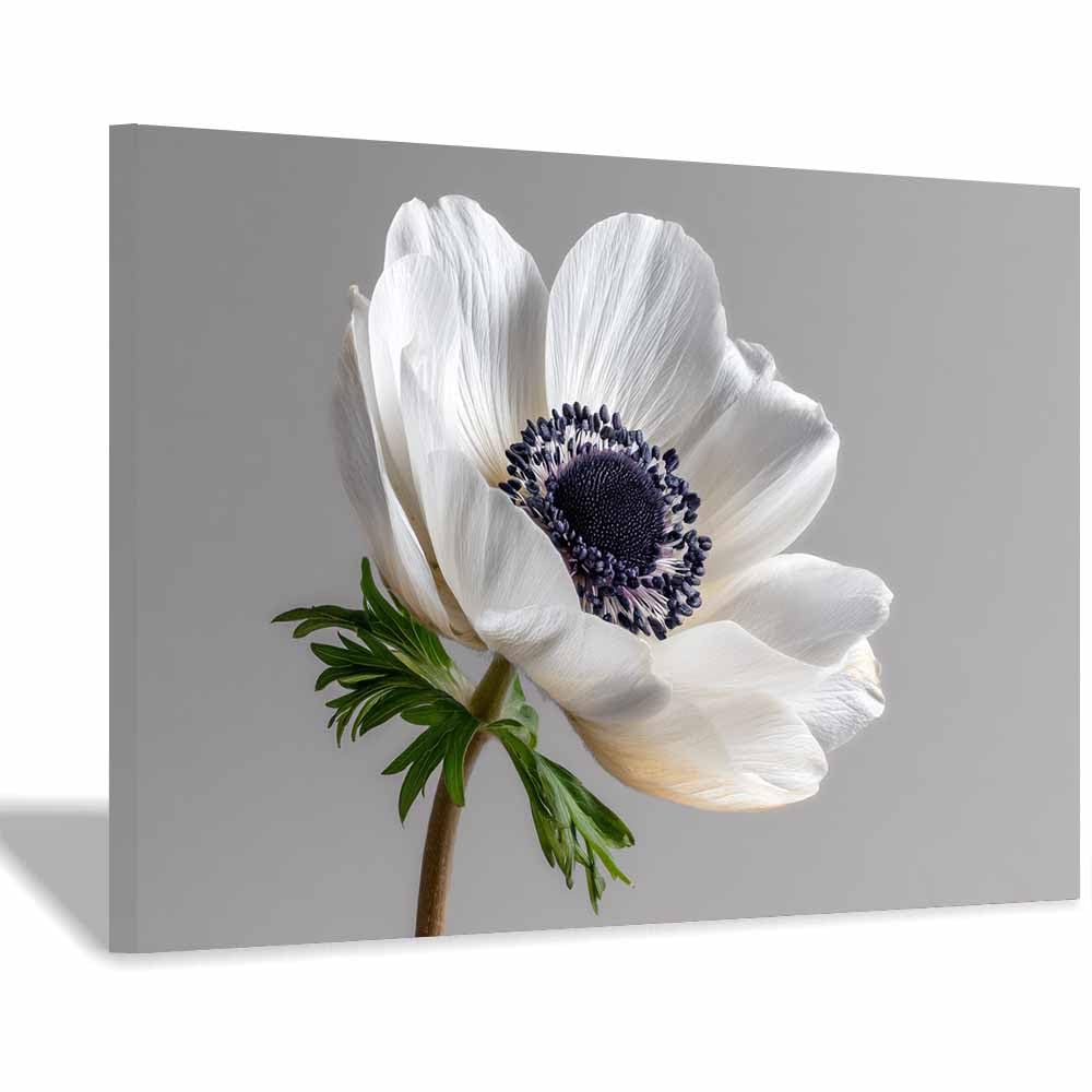 ZAMAEIU Nature Wall Art Single-petalled flowers decorative home accessories, paintings wall art,For living room, bedroom, Apartment Corridor Office etc.(white)-50x70cm Framed