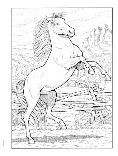 Adult Coloring Great Horses Coloring Book (Adult Coloring Books: Animals) - Image 8
