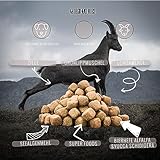 George & Bobs Trockenfutter - Ziege - 3000gt | 3 kg | Getreidefrei | 70% Fleischanteil | Superfoods | Trockenfutter | Grünlippmuschel | für ausgewachsene Hunde