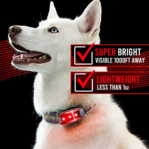 Blitzu Runners Lights For Night Safety Dog Walking Light Lights For Walking At Night Safety Lights Walking Night Red Strobe Light Dog Leash Light Walking Light Led Running Lights Dog Safety Light Red #TOP4