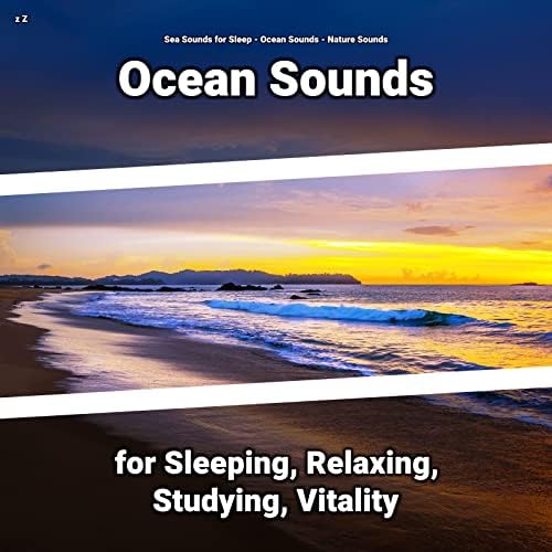 z Z Ocean Sounds for Sleeping, Relaxing, Studying, Vitality de Sea