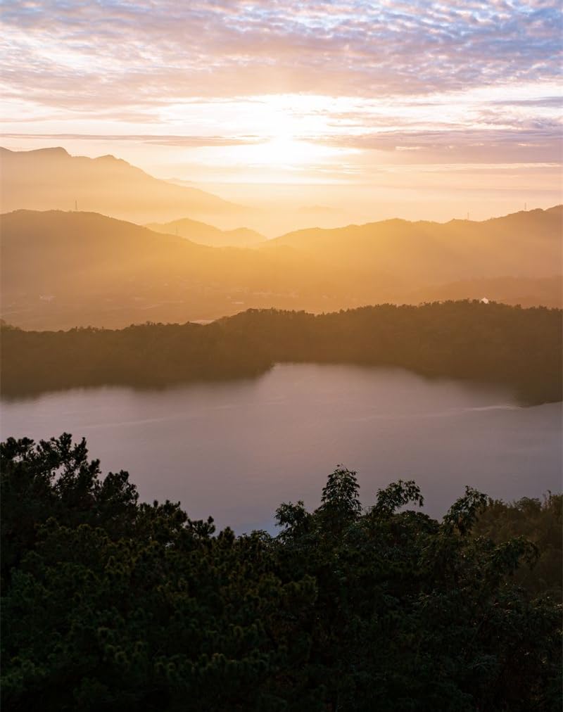 1000 Piece Jigsaw Puzzle for Adults & Kids Age 12 Years Up-Fog,sunset,forests 70x50cm