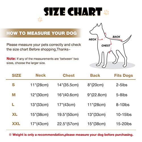 Namsan Hundemantel Hunde Jacken für Winter Warm Leder Hunde Winterjacke Wasserdicht Hundemantel für Kleine Hunde-M