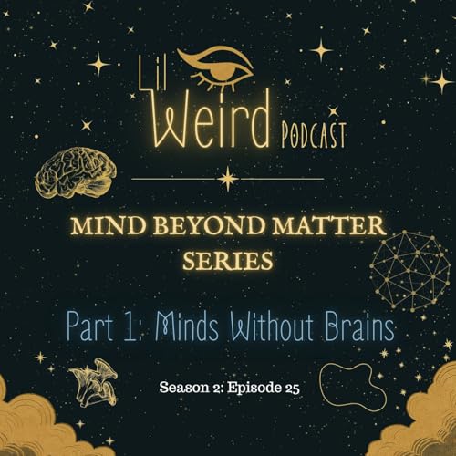 Page de couverture de Mind Beyond Matter- Part 1: Minds Without Brains