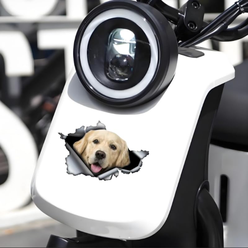 TIZIKJ Golden Retriever Auto-Aufkleber, 3D Zerrissener Effekt, Reflektierend Wasserfest, PVC-Dekor für Auto, Laptop, Kühlschrank ((18cm/7.09inch))