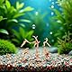Ymhapp 1 x natürliches Aquarium-Treibholz, Zweige aus Holz, Aquariumstamm, Treibholz, Dekoration, Pflanzenstumpf, Aquarium-Dekoration, thematische Ornamente, verschiedene Größen (8–10 cm)