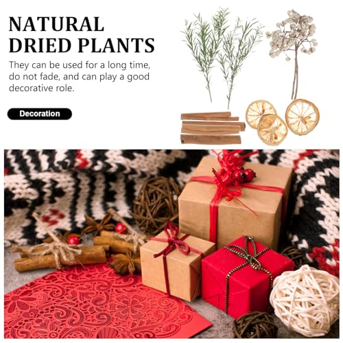 Material de flores secas para manualidades y decoración miniatura 7