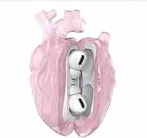 心臓のケース Amazon.com: Original Heart-Shaped Protective Case for