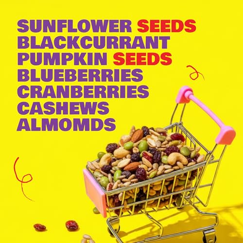 Image of Snacc Mix Trail | Dry Fruits and Mix Nuts| Almond, Cashew, Bluenerries, Pumkin Seed, Blackcurrants | Iodized Salt | Healthy Snacking (200 g, Pack of 4)