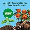 Miracle-Gro Seed Starting Potting Mix, 2-pack 8 qt., For Use in Containers #2