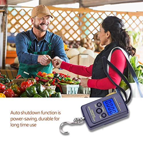 Balança de pesca, Balança de bagagem, Balança de peixe, Balança portátil Balança portátil multifunci