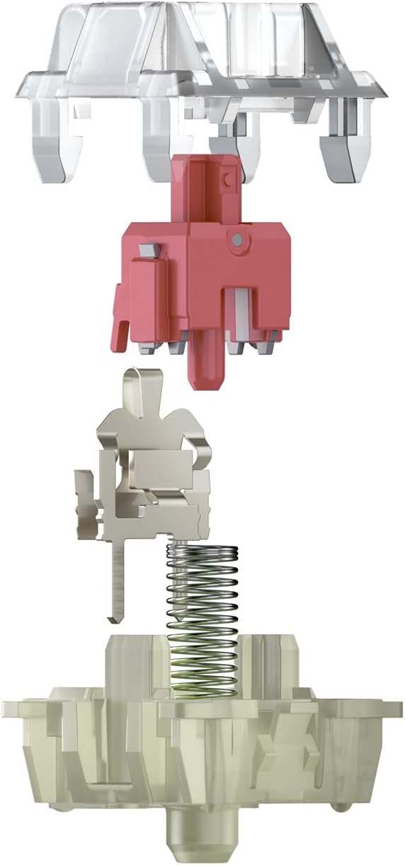 Cherry MX RGB Mechanical Keyboard with MX Red Silent Gold-Crosspoint Key switches for typists, Programmers, Creator, Coder, Work in The Office or at Home G80-3000N RGB (TenKeyLess (TKL)