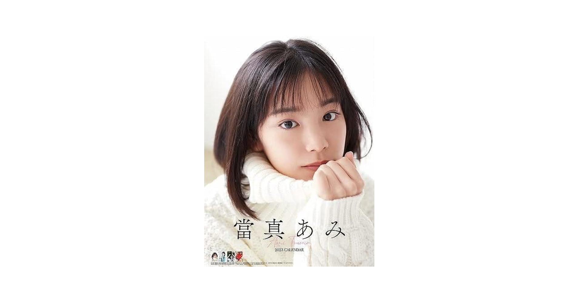 益坂美亜 カレンダー タテ73センチ 特大B2サイズ 8枚構成 2019 未開封 益坂美亜 カレンダー タテ73センチ 特大B2サイズ 8枚構成 2019