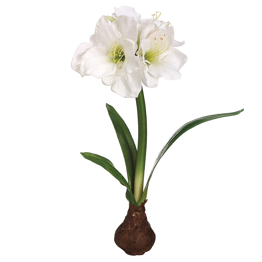 21" Standing Amaryllis w/Bulb White (Pack of 4)