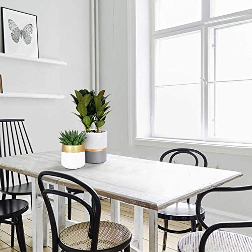 image for TIMEYARD Ceramic Planter Pots Indoor with Drainage Hole, Set of 2 Smal