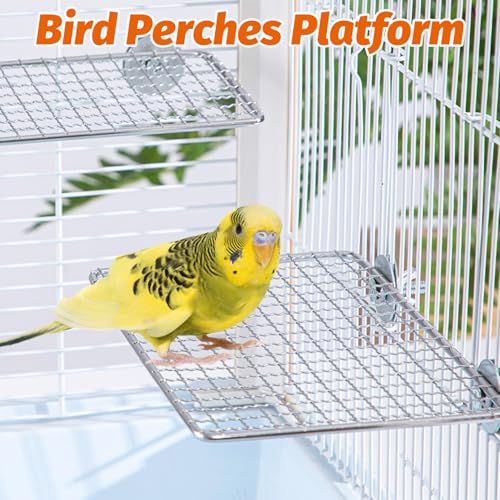 Image of BNOSDM 2 Pack Bird Perch Platform Stainless Steel Birds Perches Parrot Shelf Training Stand Small Animals Cage Accessories for Parakeets, Budgies, Conures, Cockatiels, Lovebirds (Extra-Large Size)