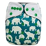 HappyEndings Bamboo Charcoal AI2TM All-In-Two Cloth Diaper / Snap-in Insert 