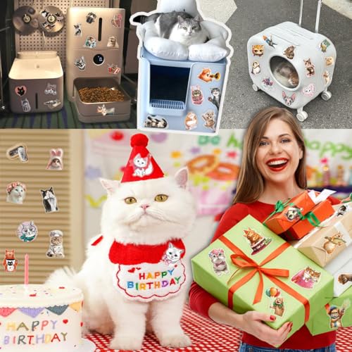 120 Pcs Funny Cats Stickers for Teens Adults Water Bottle Laptop Phone Case Scrapbooking Bike Luggage Classroom Rewards, Waterproof Sun-Proof Non-Fading Transparent Decals — view 4