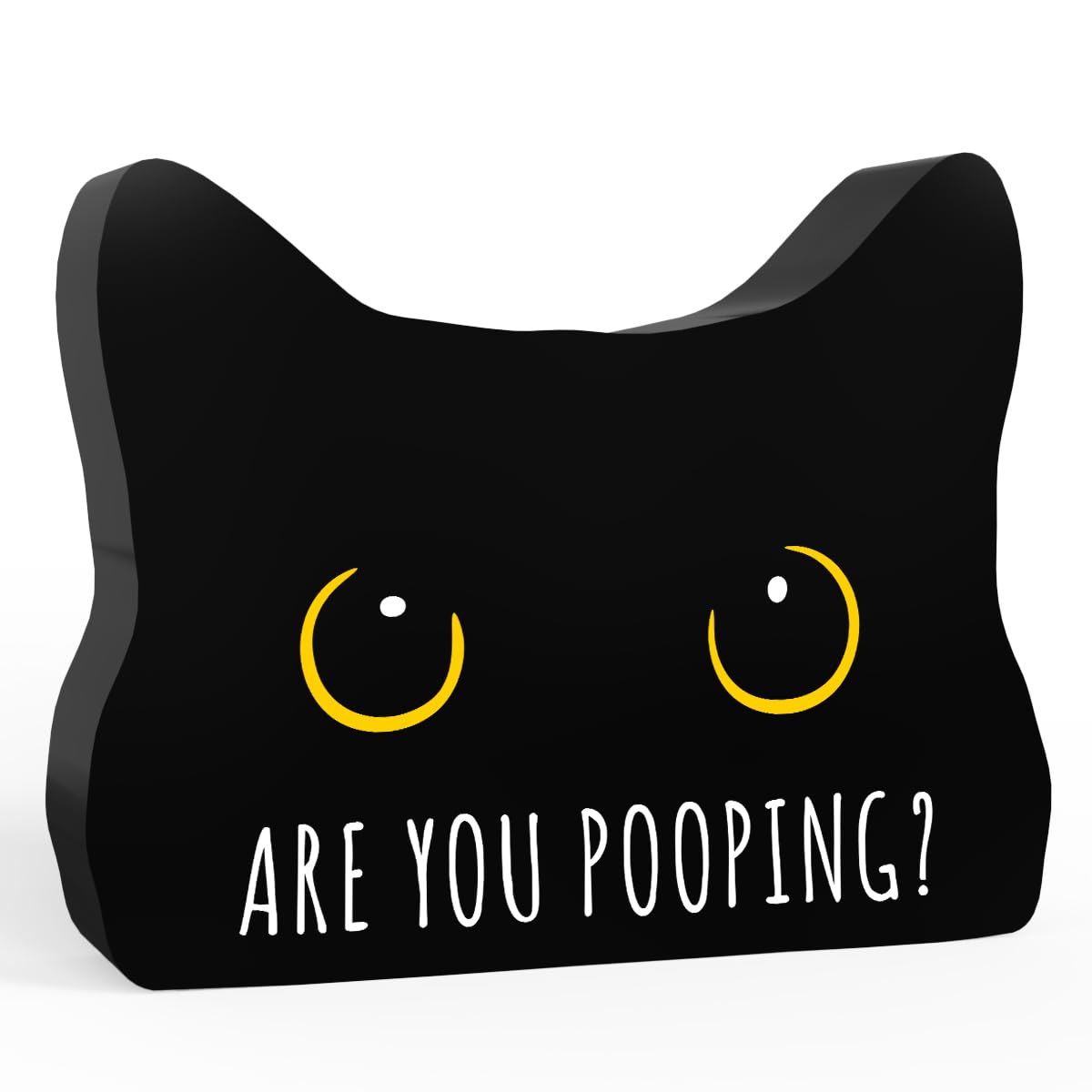 Black Cat Decor Cat Bathroom Decor Are You Pooping Funny Bathroom Acrylic Decors Sign Cat for Home Bathrooms