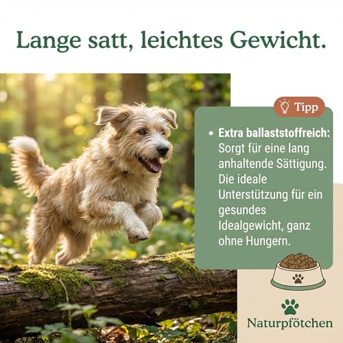 Naturpfötchen Umweltbewusst & Vital 5kg Insektenprotein Hypoallergenes Hundefutter Kaltgepresst & Getreidefre Markus Mühle Nachhaltiges Trockenfutter für Sensible Hunde Aller Rassen Natürlich(1x5kg)