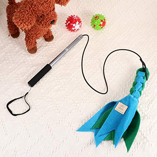 Brinquedo para cães de estimação - Brinquedo criativo de mordida interativo, brinquedos extensíveis,