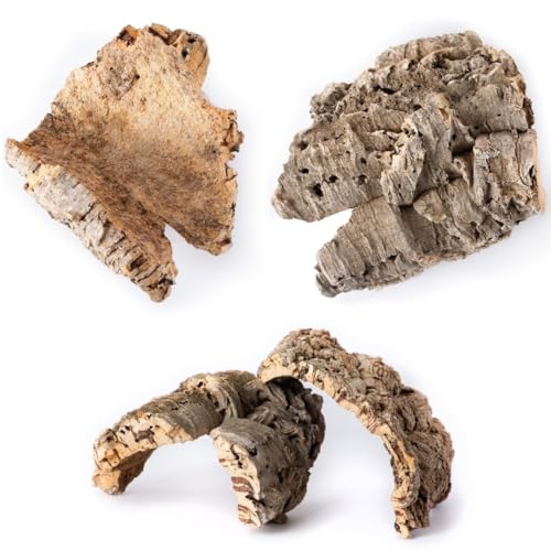 Galpagos (05501) Natural Cork Bark for Reptiles Ideal for Bearded Dragons Snakes and Geckos Climbing Accessory for Terrariums Turtle Tanks and Bird Cages Flat 6 9 Natural