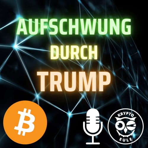 7: Aufschwung durch Trump! Bitcoin neues ATH! Ethereum &uuml;ber 3k! Bullrun l&auml;uft!