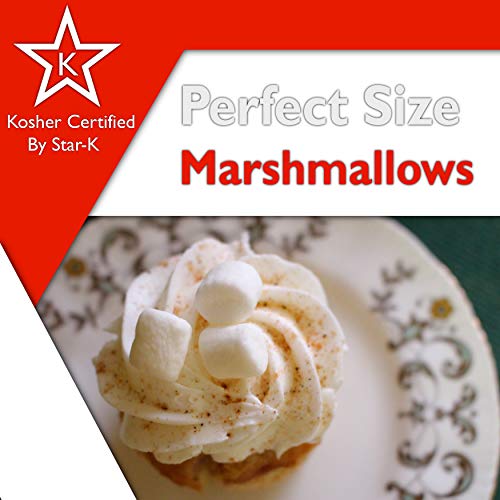 Only Kosher Candy Dehydrated Marshmallows Vanilla Flavors, Gluten Free, Nut Free & Fat Free, Kosher Certified White Pop Mallows In Jar, Perfect For Topping & Baking (Large) #TOP3